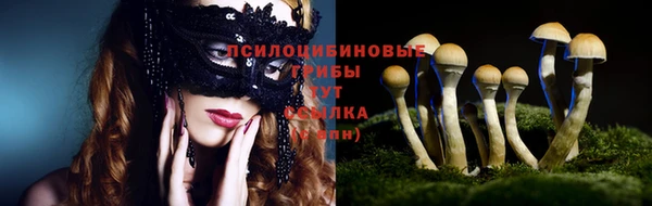гашик Аркадак
