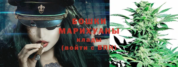 гашик Аркадак