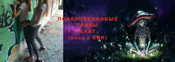 mdpv Арсеньев