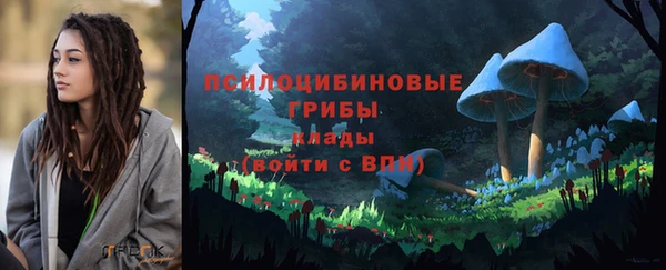 гашик Аркадак